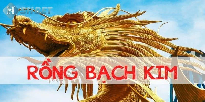 Kênh soi cầu rồng bạch kim