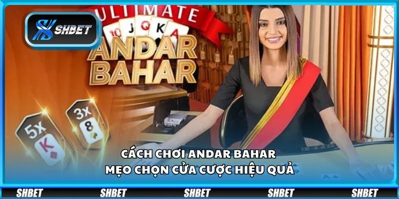 Cách chơi Andar Bahar - Mẹo chọn cửa cược hiệu quả