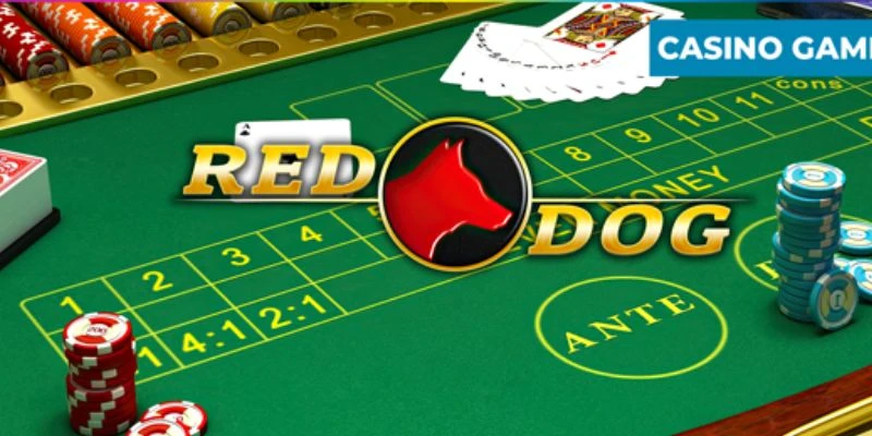 Khám phá luật chơi cơ bản của Red Dog